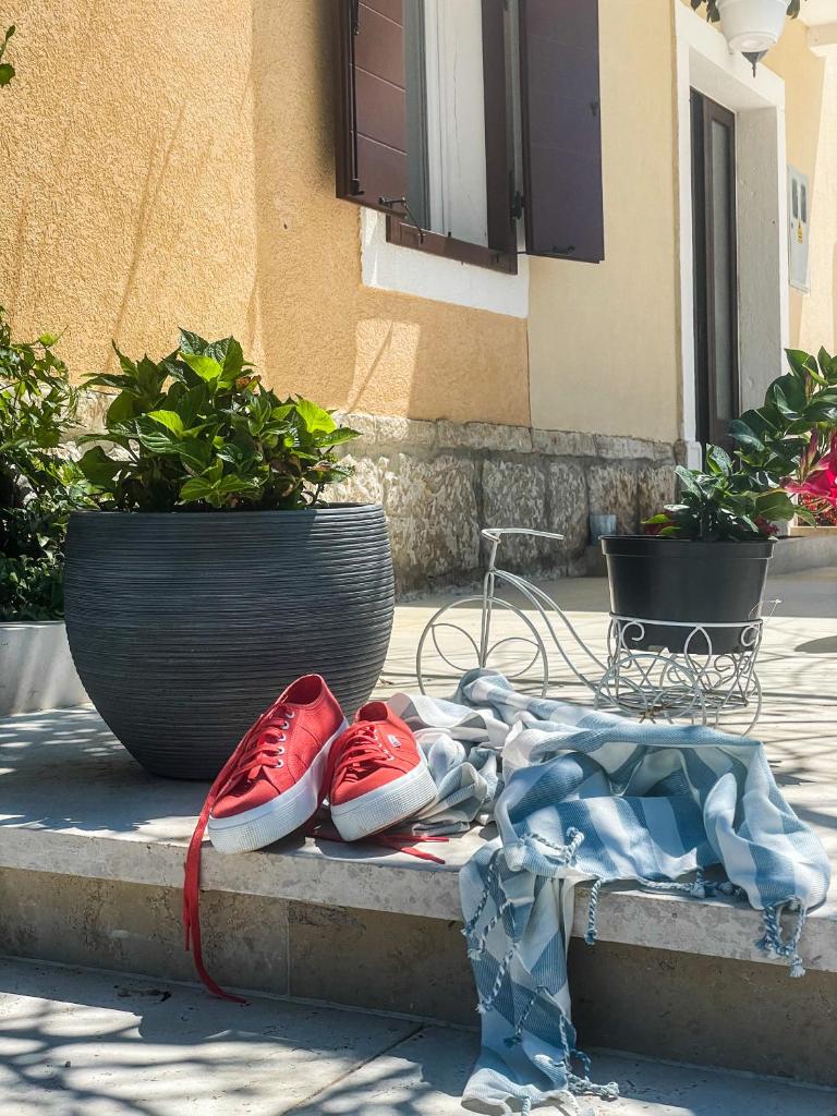 Apartments Borghetto photo 3