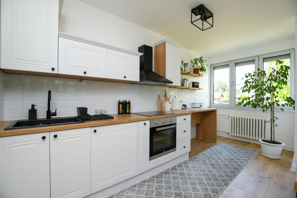 Apartment Pavlovic photo 4