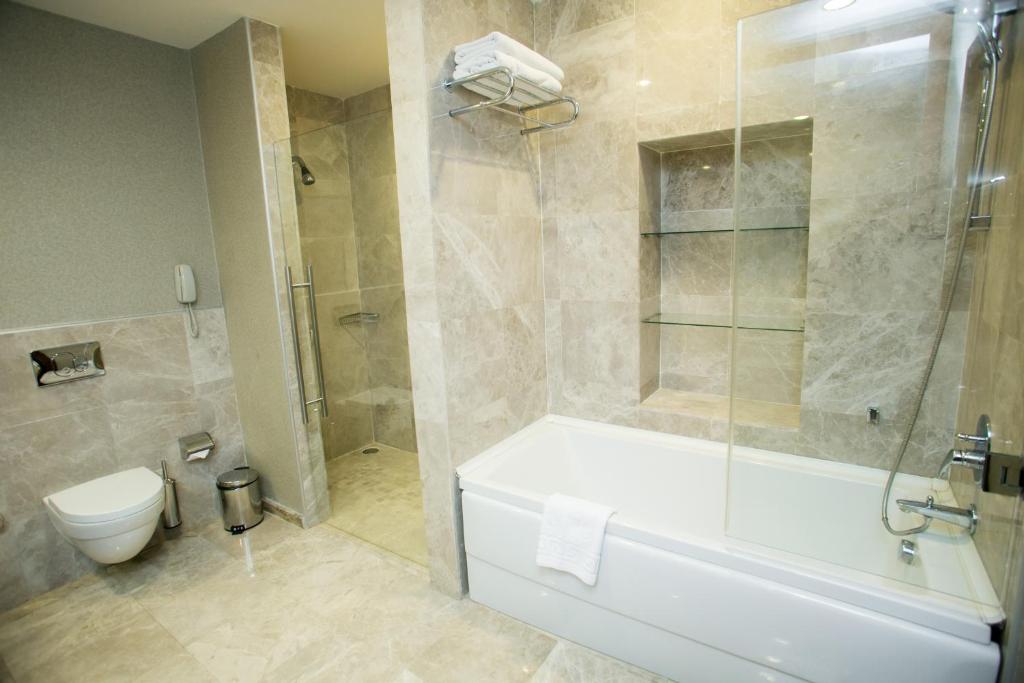 Двухместный (Улучшенный двухместный номер с 1 кроватью), Qafqaz Point Hotel