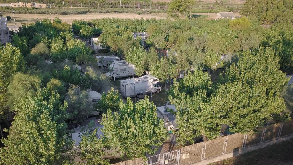 Camping & Residence Il Pioppeto photo 3