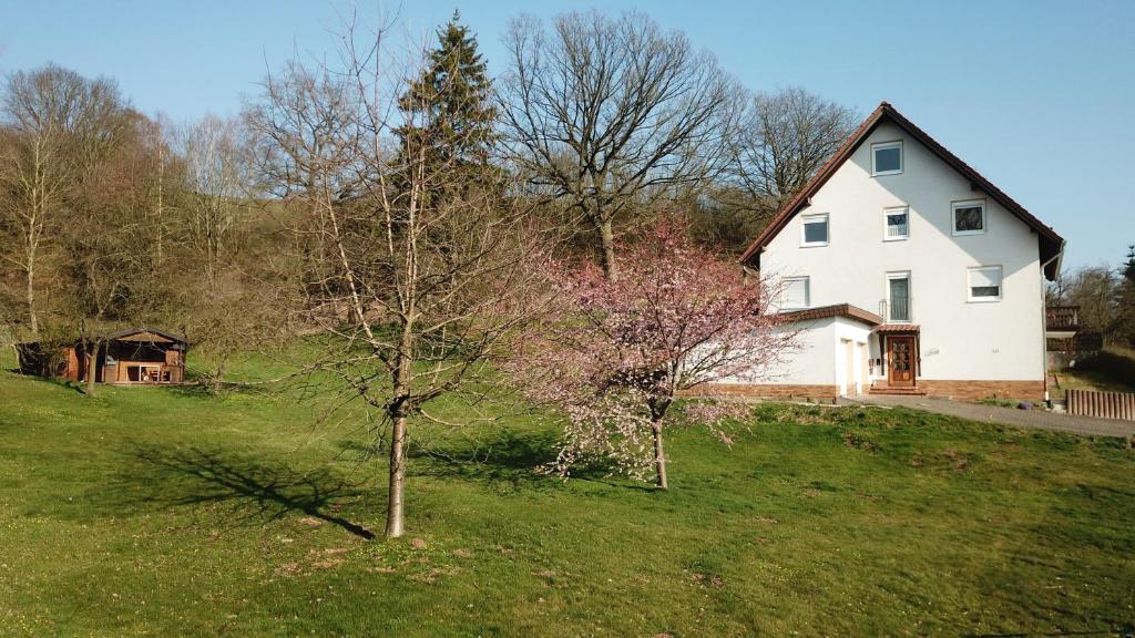 Ferienwohnungen "Am Berge" photo 1