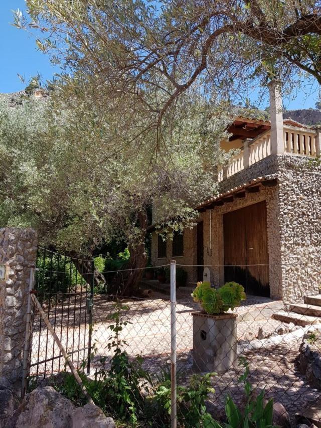 YourHouse Cas Sito photo 4