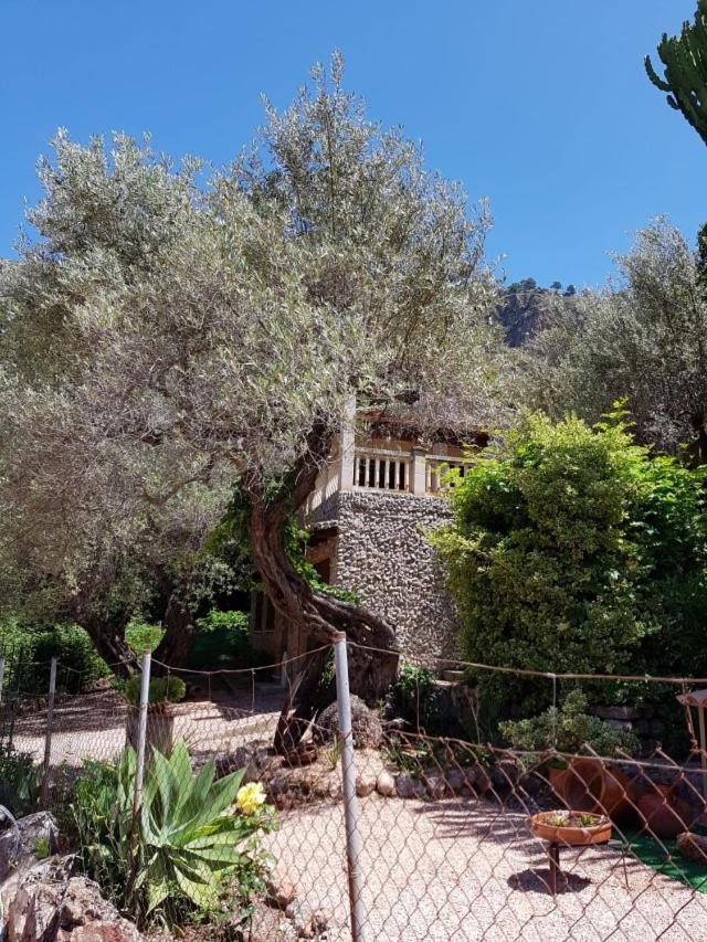 YourHouse Cas Sito photo 3
