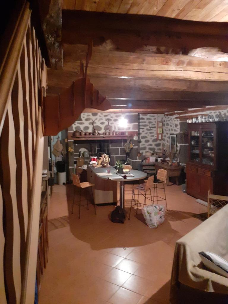 Maison authentique en pierre apparente en montagne dans le c antal photo 3