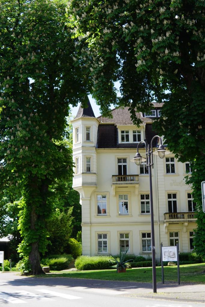 Monteurwohnungen in der Residenz am Kurpark photo 2