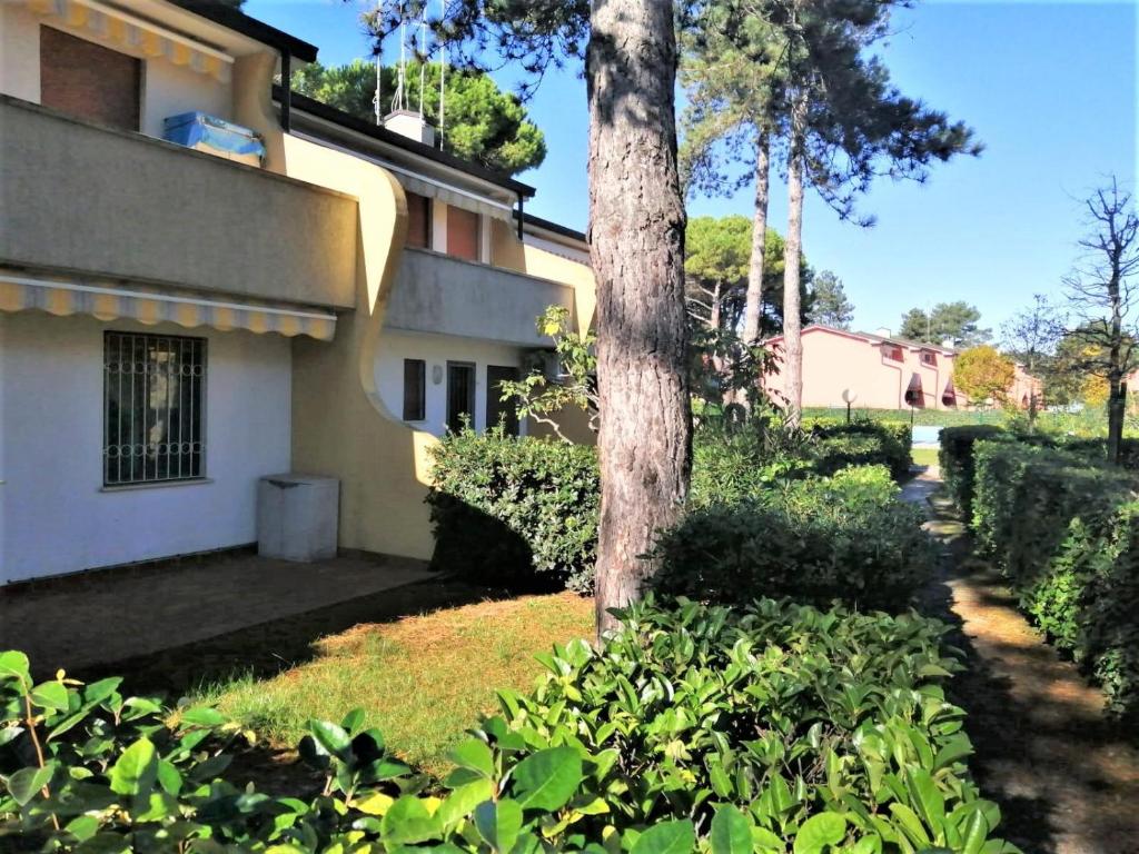 Azzurro photo 1