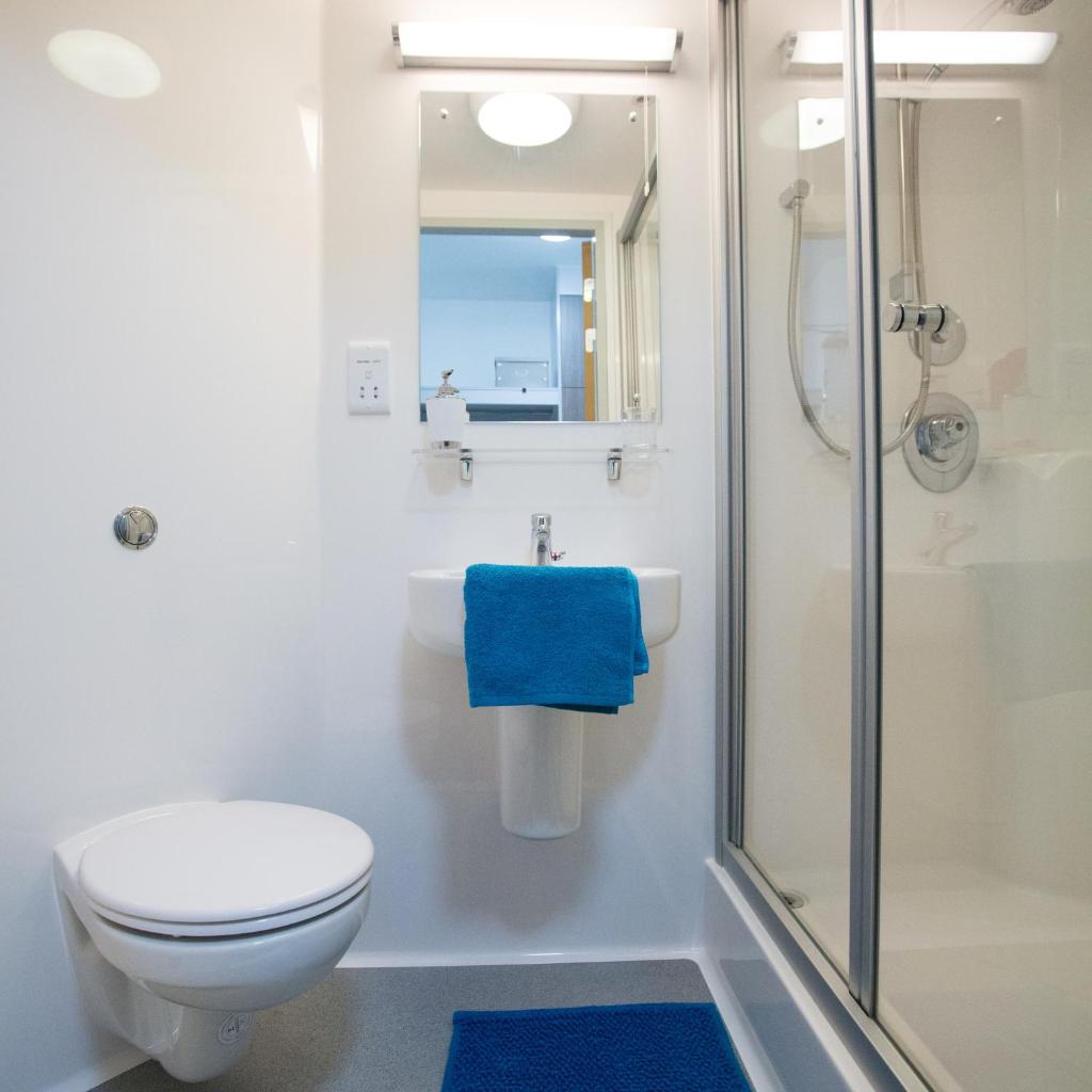 Fferm Penglais Apartments photo 4