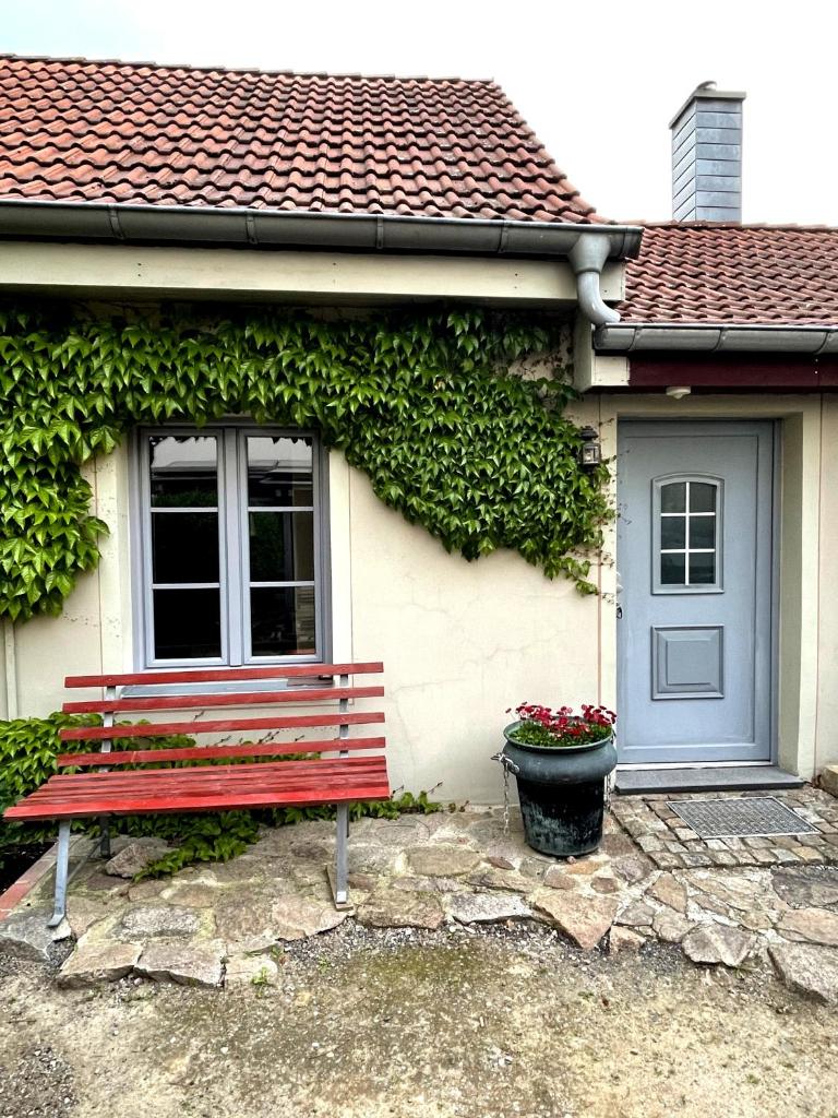 FEWO im Kneipenviertel Altkötzschenbroda photo 1