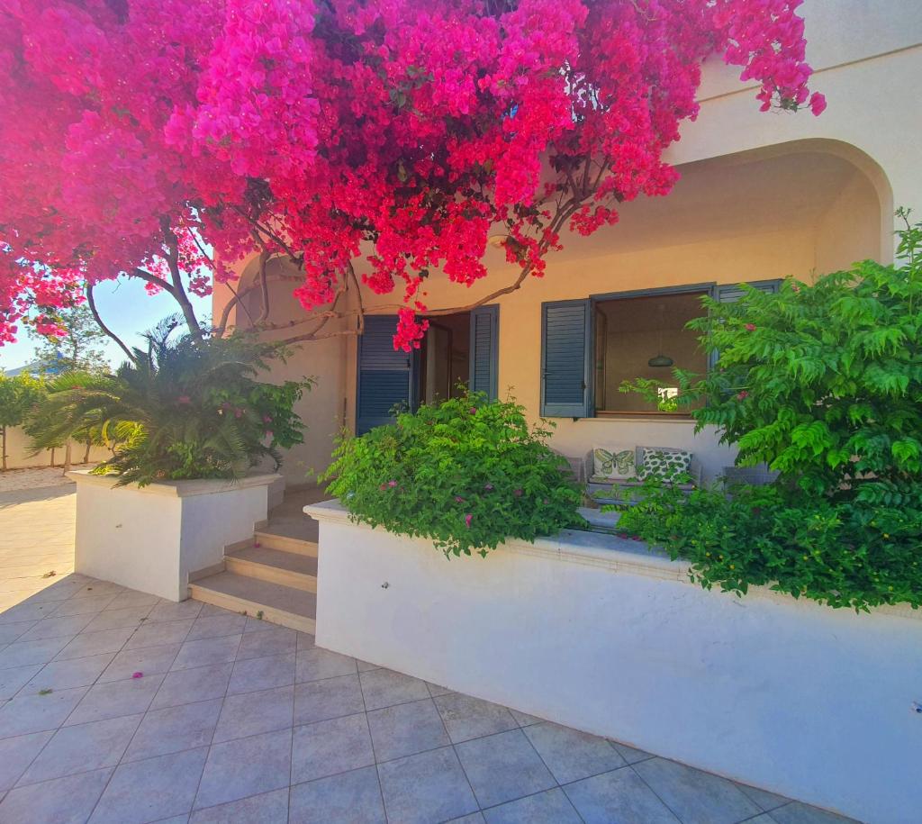 Villa A'mare photo 2