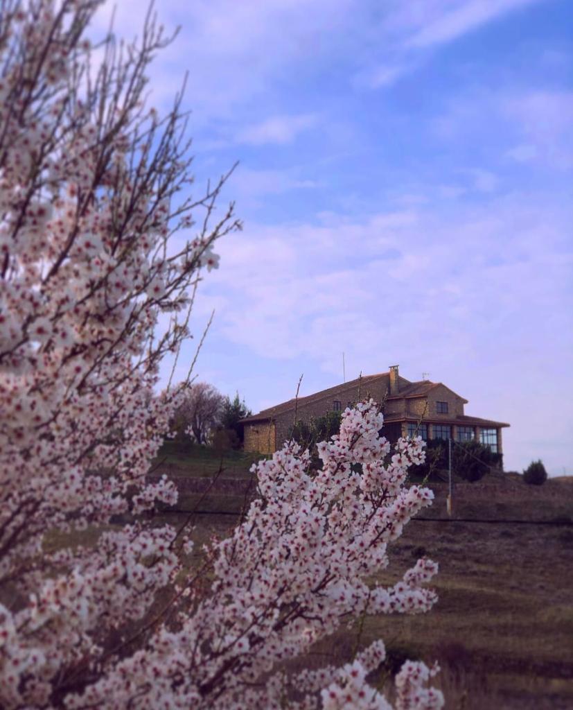 Finca Privada 6 hectareas Villa-Santa Escolástica