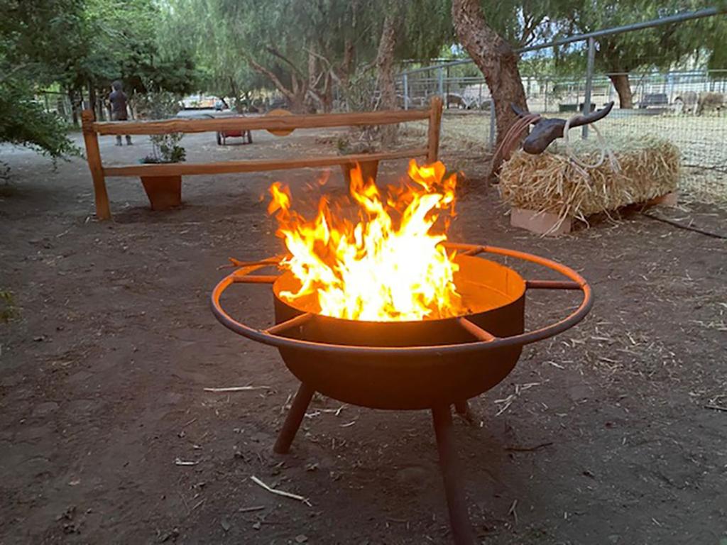 The Pony Experience; Glamping with Private Petting Zoo photo 1