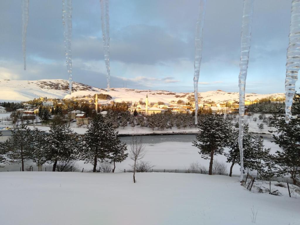 TAŞ KONAK BUTİK OTEL photo 3