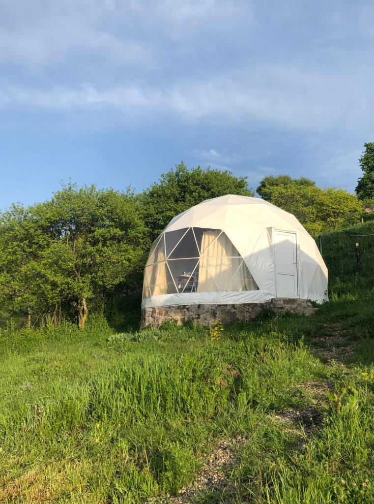 Yenokavan Glamping photo 2