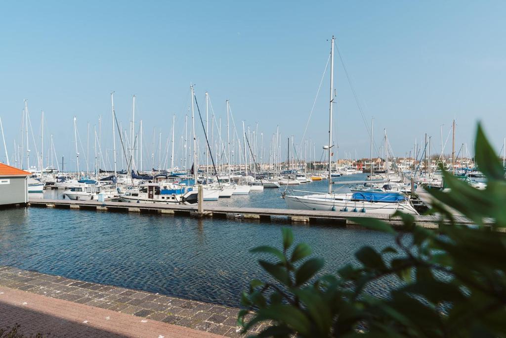 Appartement in Zeeland - Kabbelaarsbank 2E - Port Marina Zélande - Ouddorp photo 3