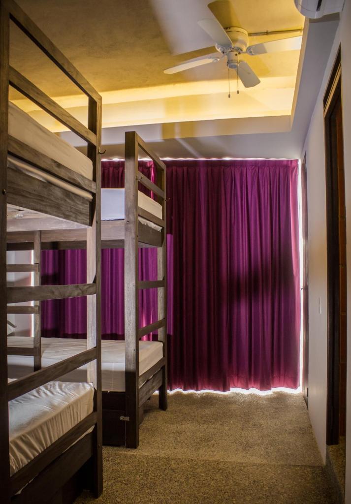 Номер (Single Bed in 6-Bed Dormitory Room - La Doña), Los Muertos Hostal
