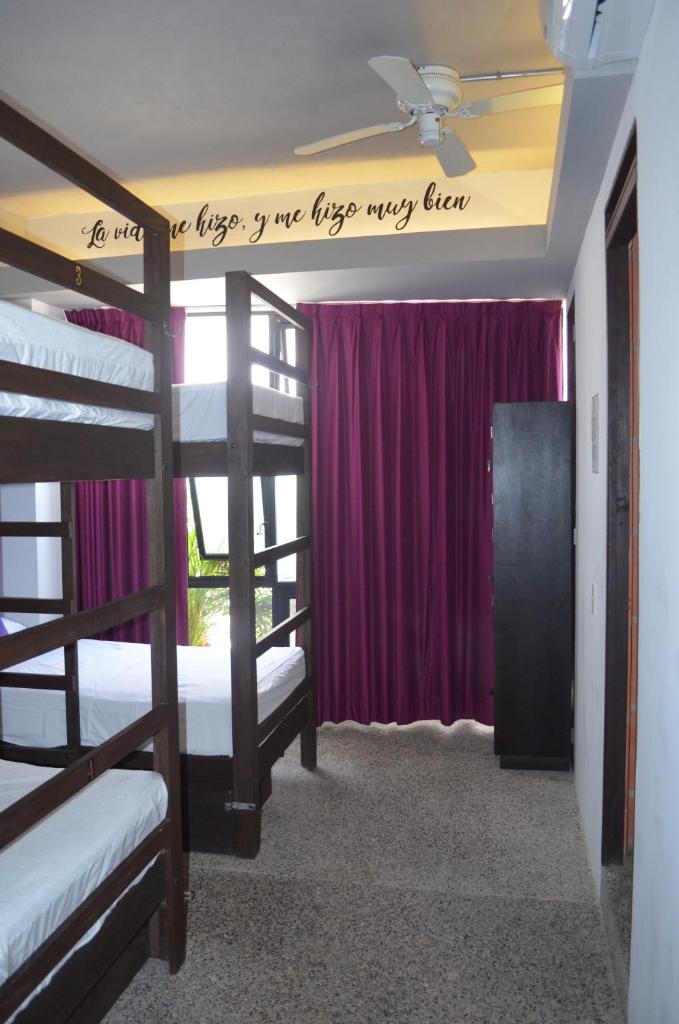 Номер (Single Bed in 6-Bed Dormitory Room - La Doña), Los Muertos Hostal