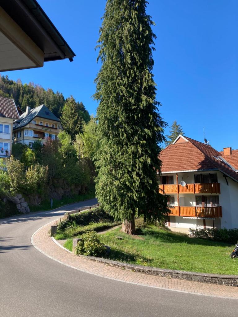 Haus Sonne photo 3