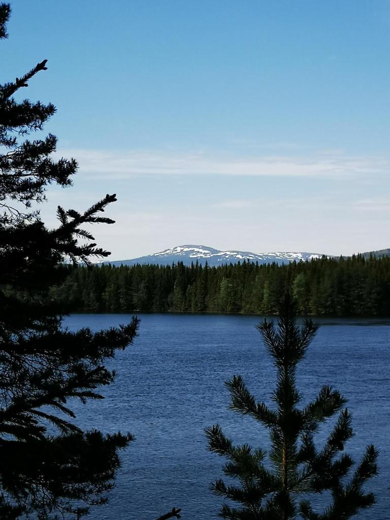 Åredalens fjällgård photo 4