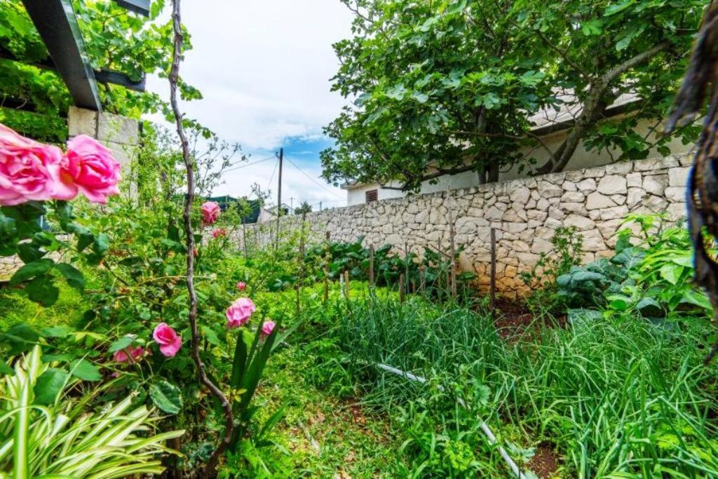 Apartment in Povlja with terrace, air conditioning, WiFi 4991-1 photo 1