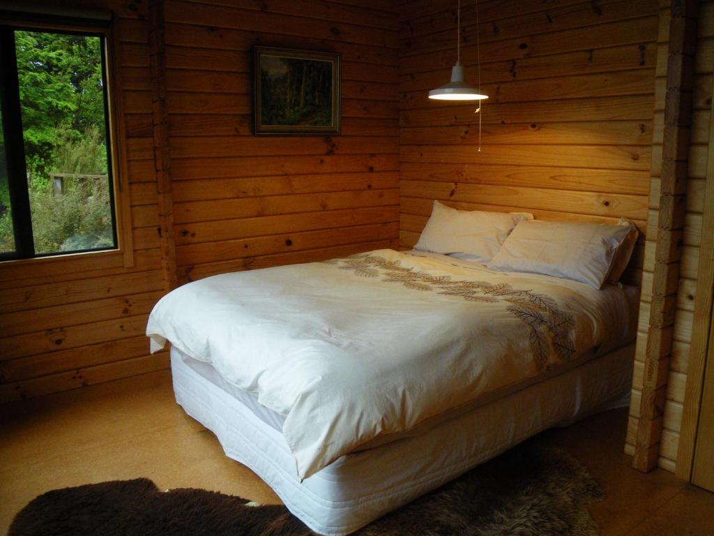 Arthur's Pass Ecolodge photo 3