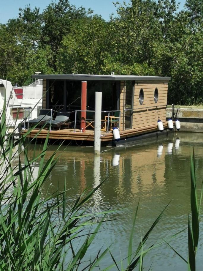 Rêves d'Ô en Camargue photo 1