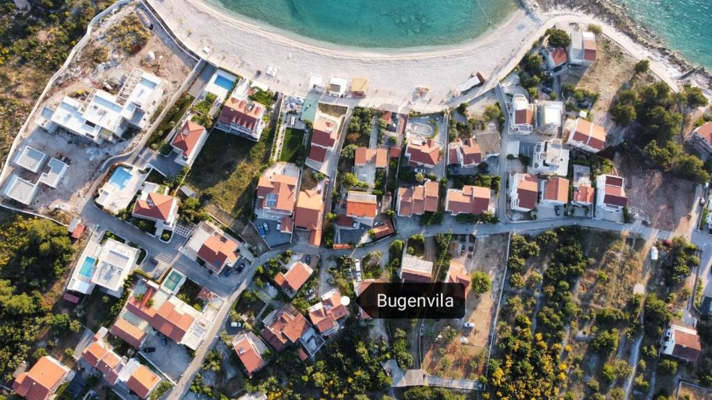 Bugenvila photo 1