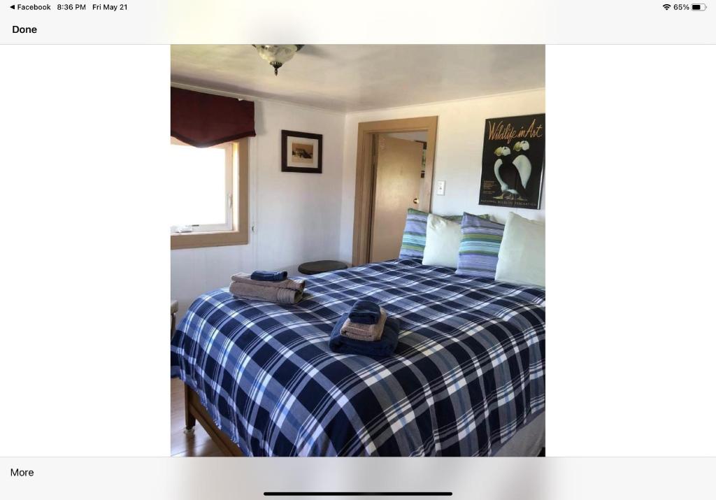 Bird Island B&B photo 4