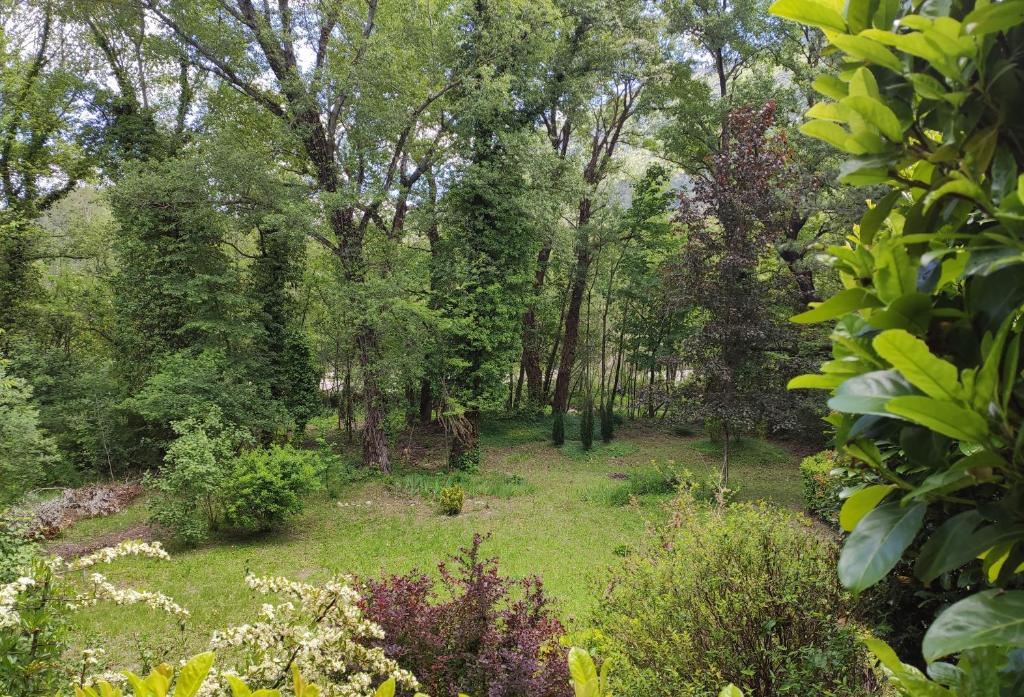 La clairière photo 1