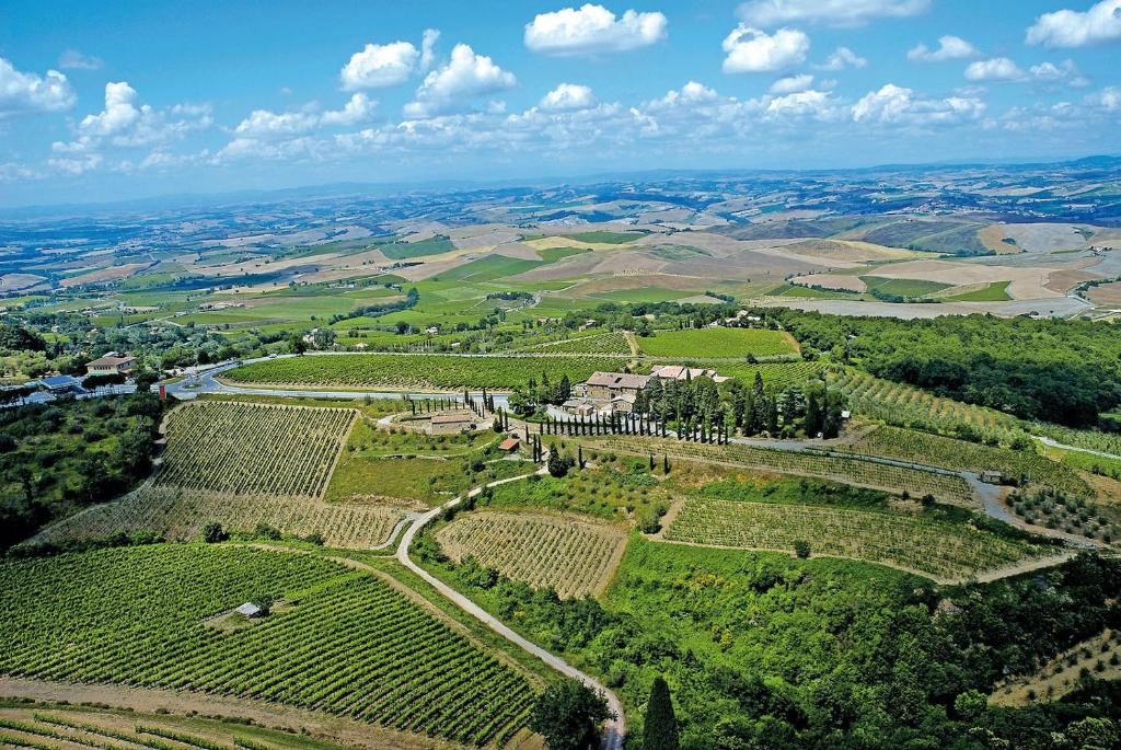 Colle al Matrichese - Historic Winery photo 1