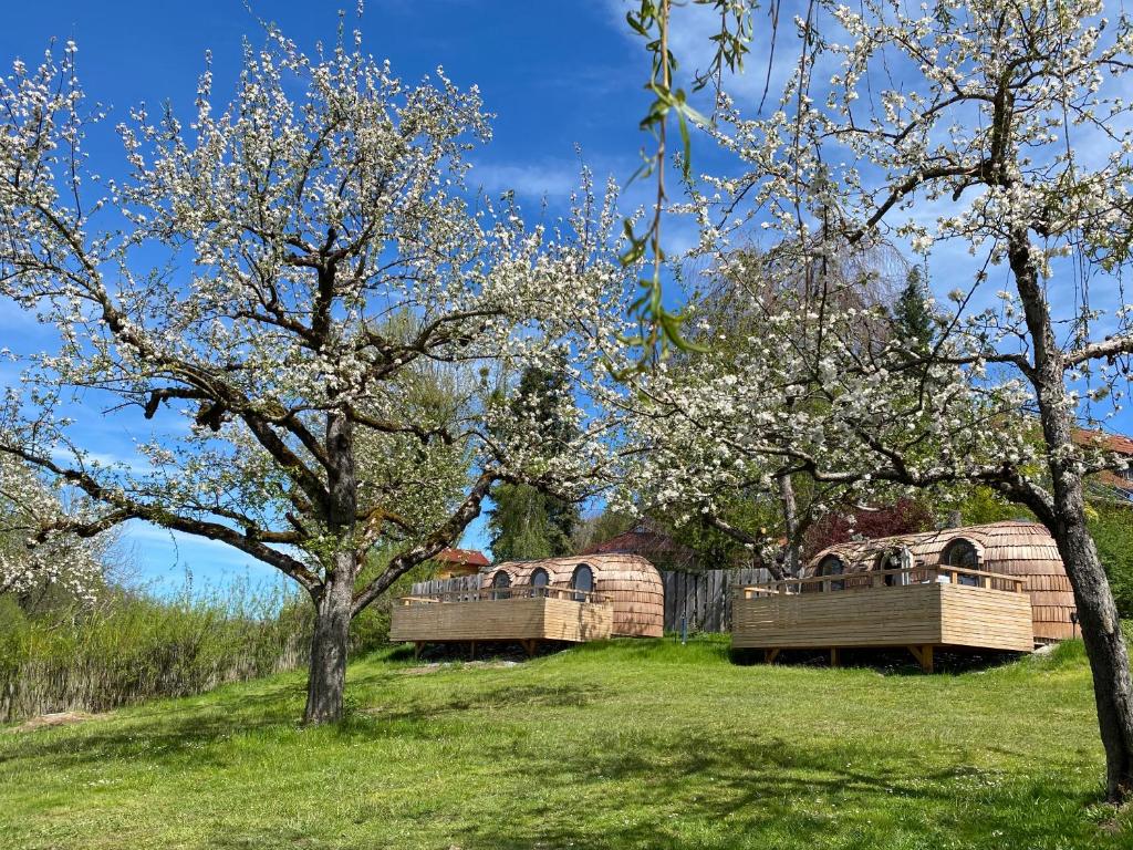 IGLUCAMPING Allgäu-Bodensee photo 1