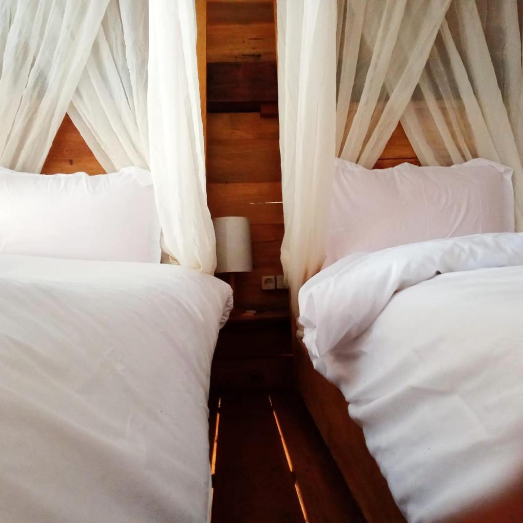 Sunset Moyo Bungalows photo 3