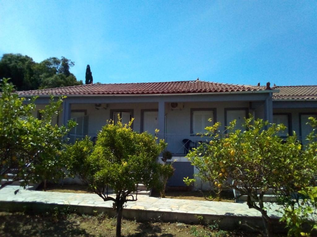 Panorama Rooms photo 2