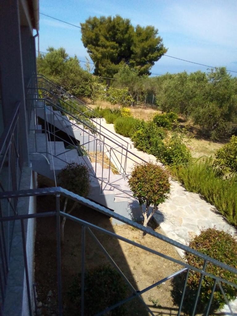 Panorama Rooms photo 4