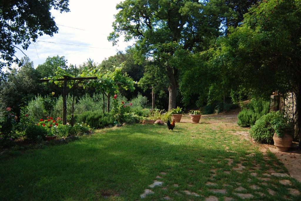 Agriturismo I Sassi Grossi photo 3