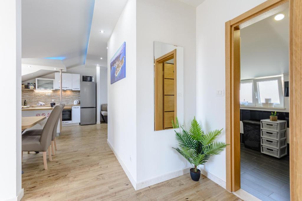 Apartment Darka 1 photo 4