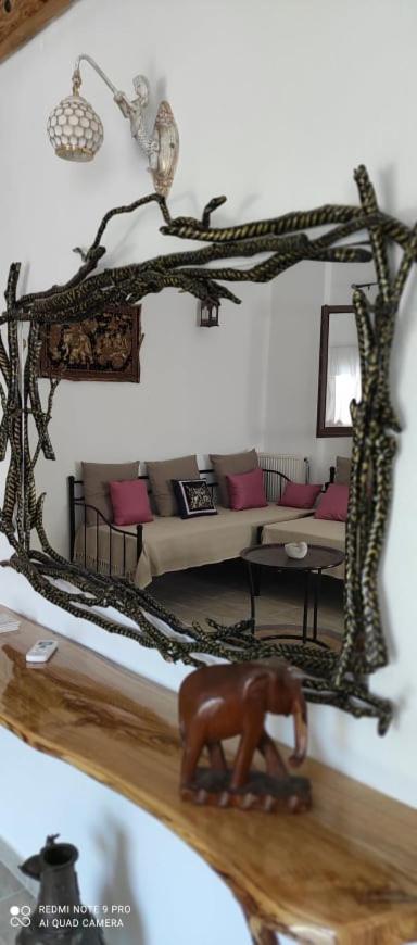 Orange Garden Loft photo 1