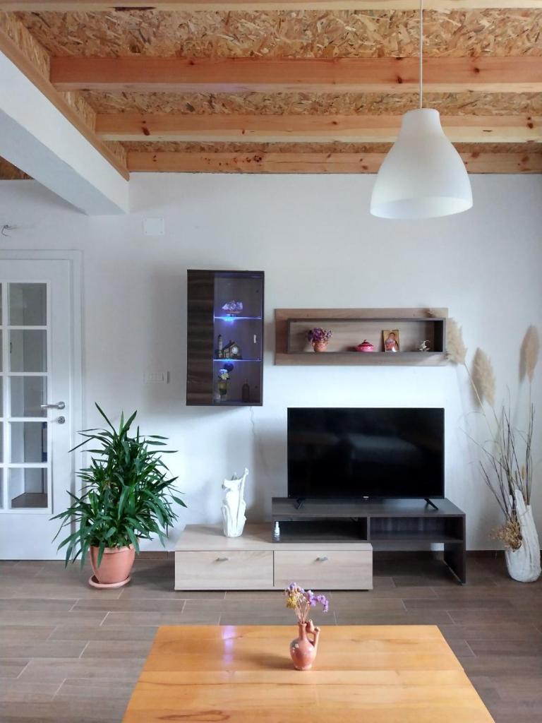 Anita`s home photo 2