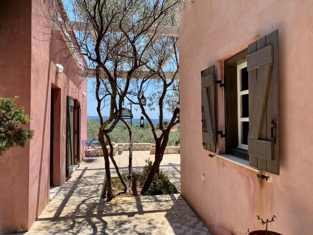 Roxanne's Olive Grove House photo 3