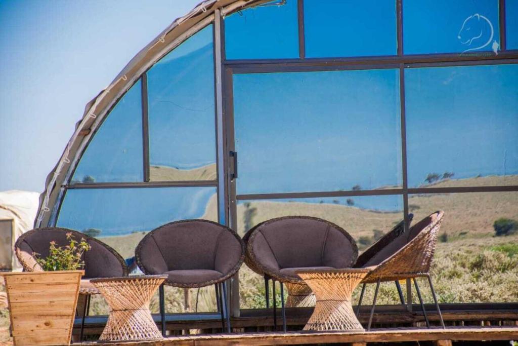 Amanya 2-Bed Lioness Family Tent in Amboseli photo 2