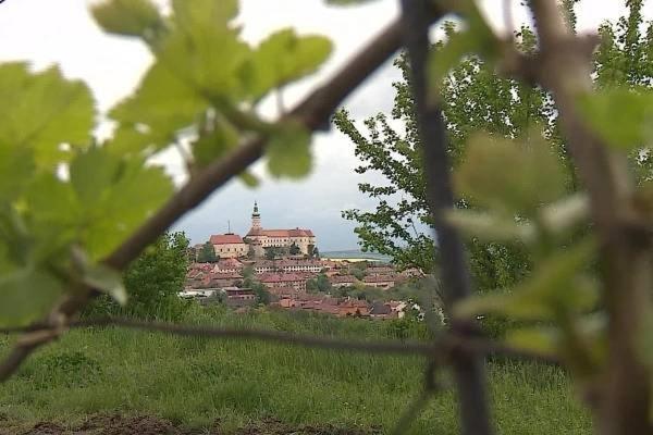 Ubytování De Donawitz photo 2