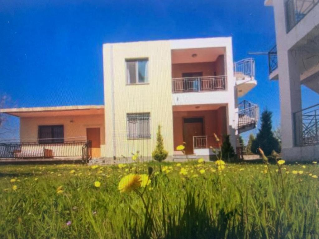 Shyqi Apartments photo 2