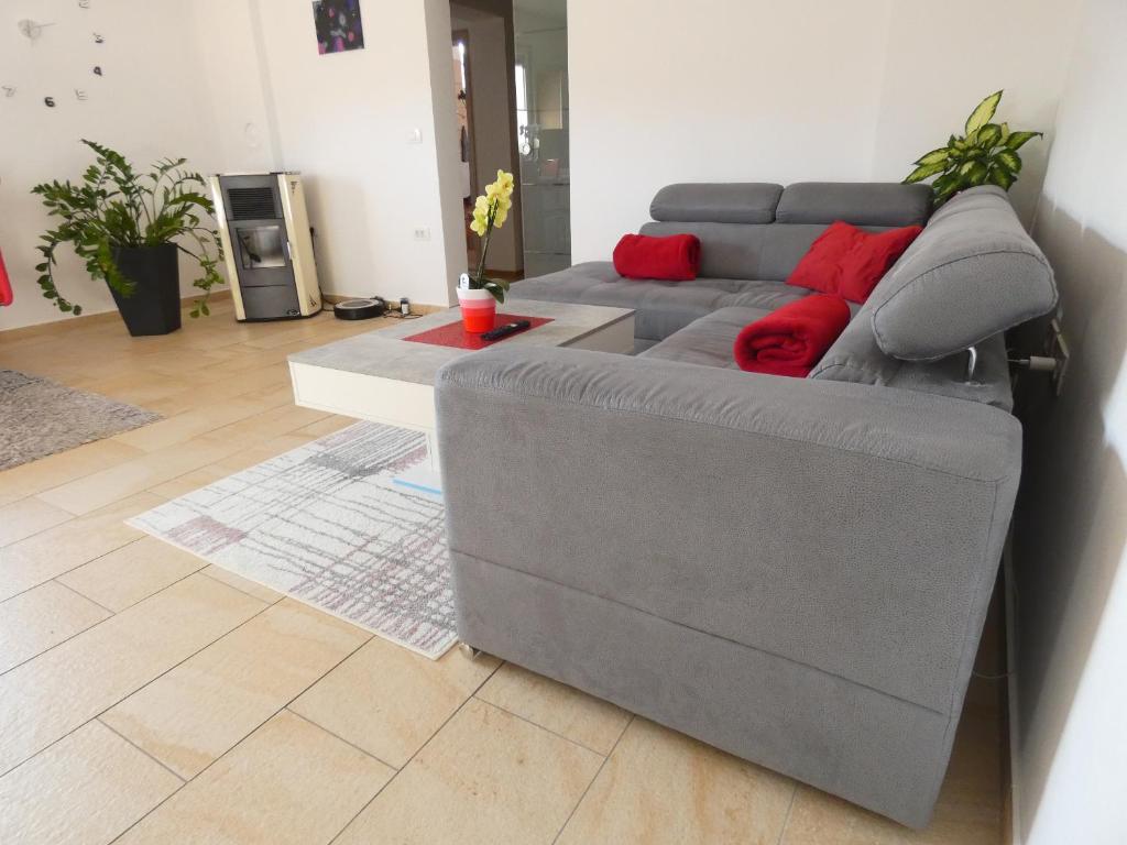 Apartment & Olive oil Valuma photo 4