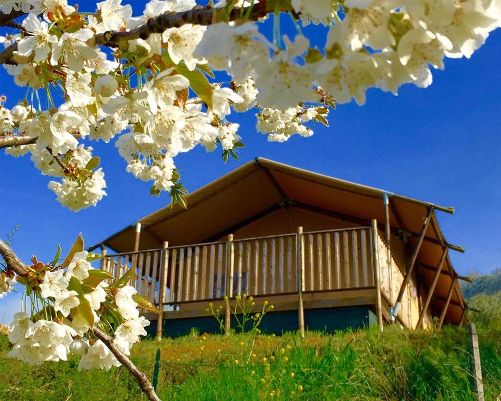 VillaLaDiva Boutique Glamping photo 4