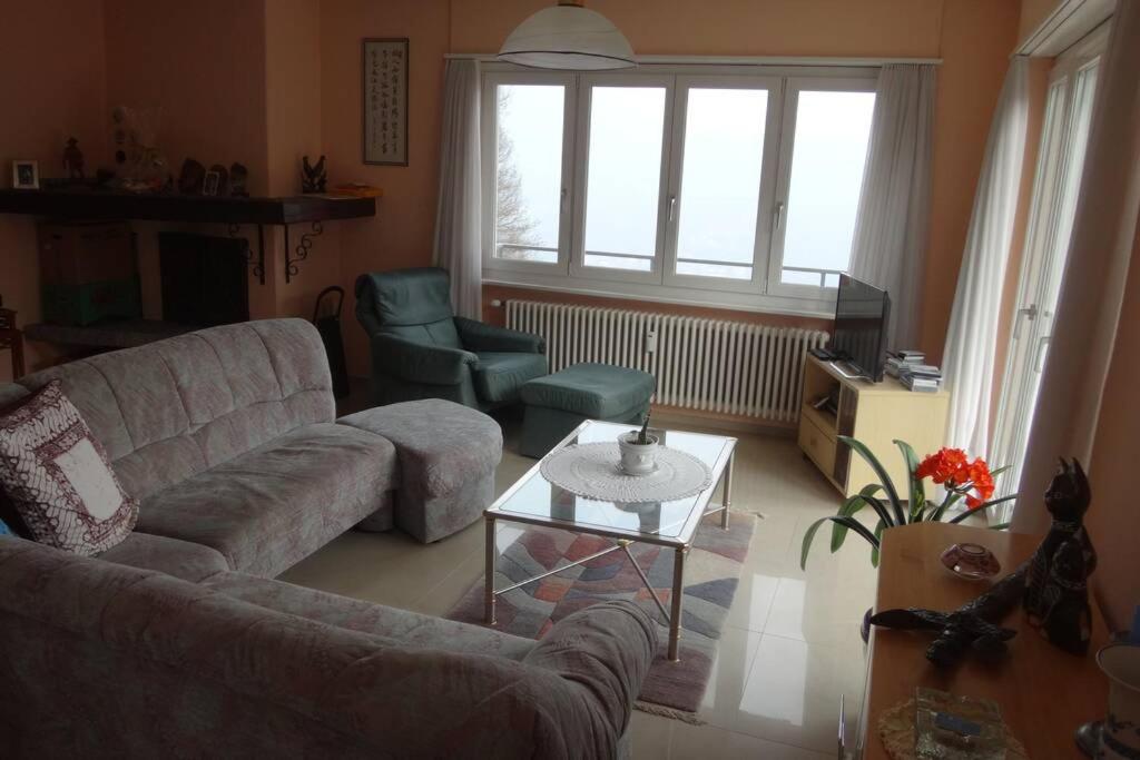 Wohnung mit See Sicht in Carona photo 2