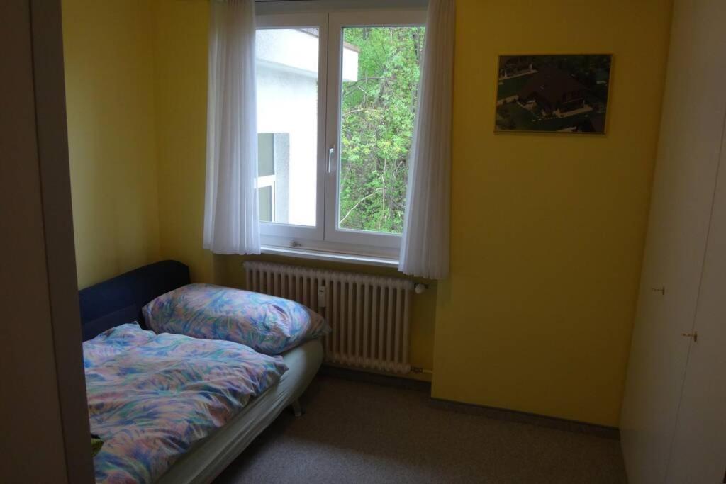 Wohnung mit See Sicht in Carona photo 4