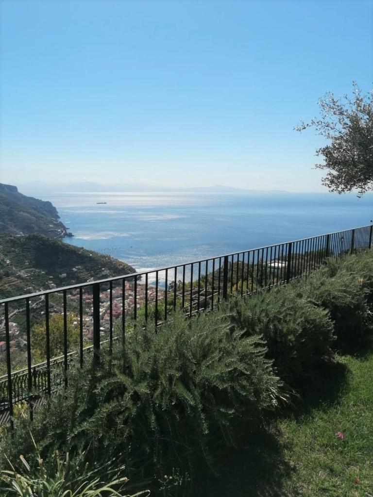 Villa Gelsomina photo 4