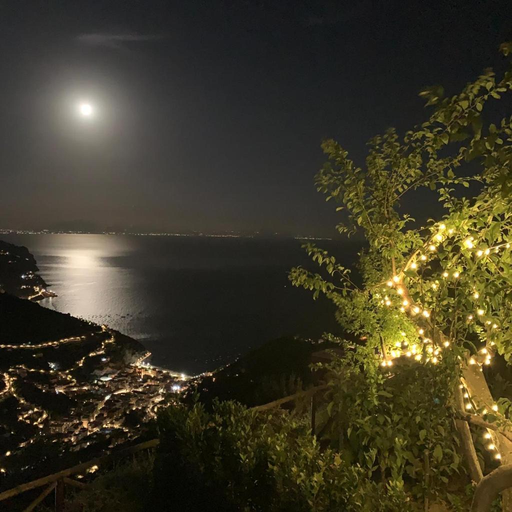 Villa Gelsomina photo 3