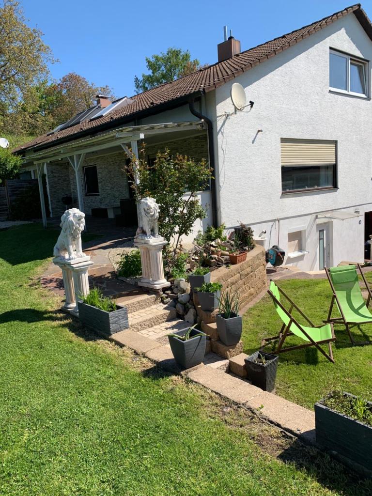Die Panorama-Wohnung-im-Grünem photo 1
