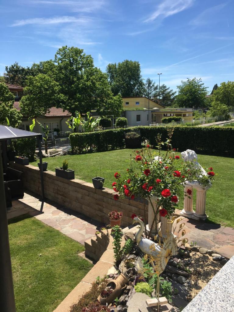 Die Panorama-Wohnung-im-Grünem photo 2