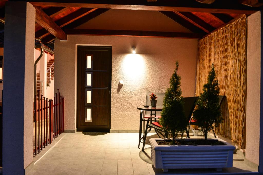 Apartman Savić photo 3
